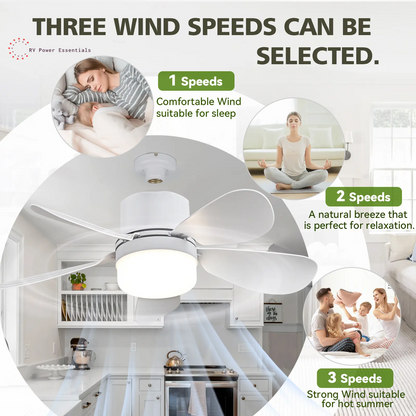 Screw-In RV Socket Fan Light with Remote — E26/E27 Dimmable Ceiling Fan, 1000 Lumens